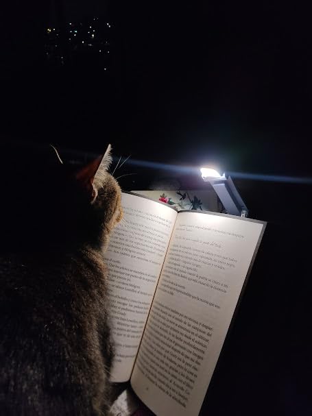 Obrazek #1 z Bożena